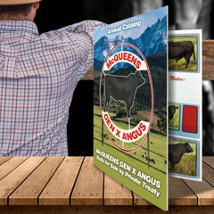 Saddle-Stitched Booklets Printing